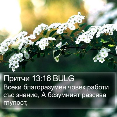 Притчи 13:16 BULG Bible Verse Image