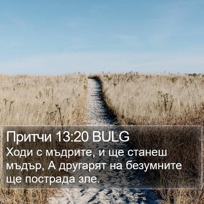 Притчи 13:20 BULG Bible Verse Image