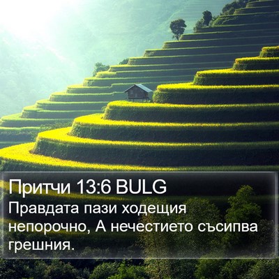 Притчи 13:6 BULG Bible Verse Image