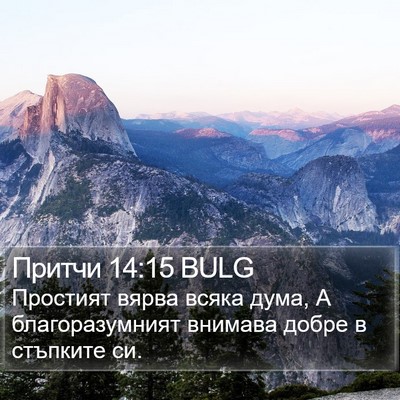 Притчи 14:15 BULG Bible Verse Image