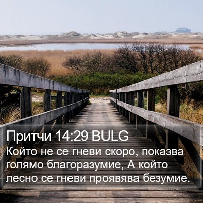 Притчи 14:29 BULG Bible Verse Image