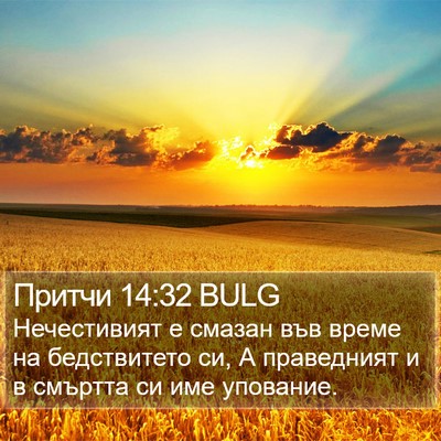 Притчи 14:32 BULG Bible Verse Image