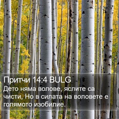 Притчи 14:4 BULG Bible Verse Image