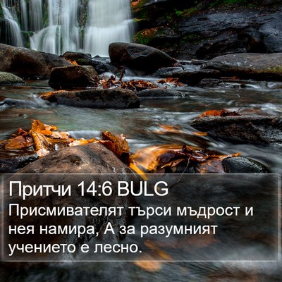 Притчи 14:6 BULG Bible Verse Image