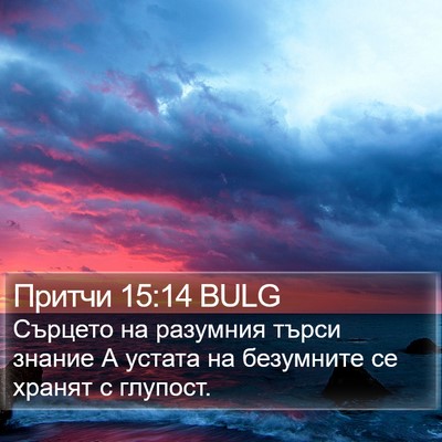 Притчи 15:14 BULG Bible Verse Image