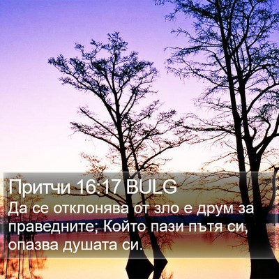 Притчи 16:17 BULG Bible Verse Image