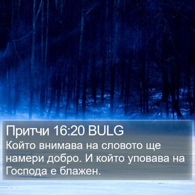 Притчи 16:20 BULG Bible Verse Image
