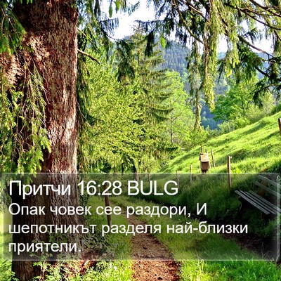 Притчи 16:28 BULG Bible Verse Image