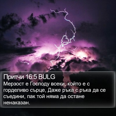 Притчи 16:5 BULG Bible Verse Image