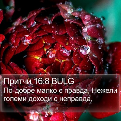 Притчи 16:8 BULG Bible Verse Image