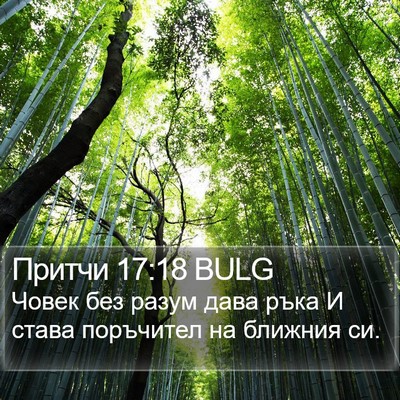 Притчи 17:18 BULG Bible Verse Image