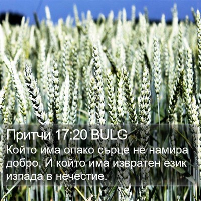 Притчи 17:20 BULG Bible Verse Image