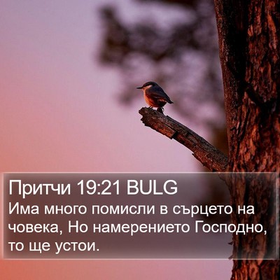 Притчи 19:21 BULG Bible Verse Image