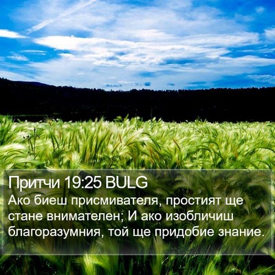 Притчи 19:25 BULG Bible Verse Image