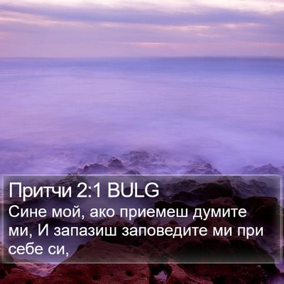 Притчи 2:1 BULG Bible Verse Image