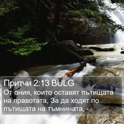 Притчи 2:13 BULG Bible Verse Image