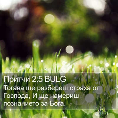 Притчи 2:5 BULG Bible Verse Image