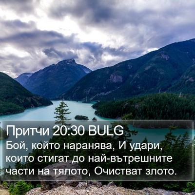Притчи 20:30 BULG Bible Verse Image