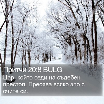Притчи 20:8 BULG Bible Verse Image