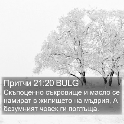 Притчи 21:20 BULG Bible Verse Image