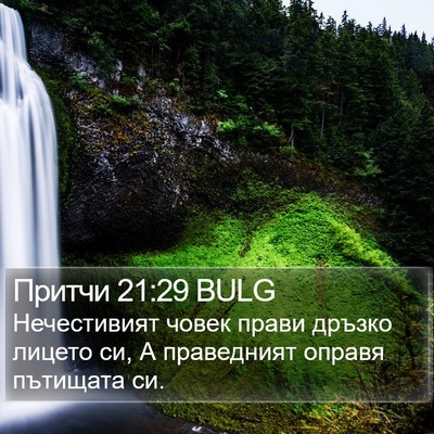 Притчи 21:29 BULG Bible Verse Image