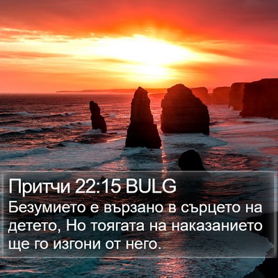 Притчи 22:15 BULG Bible Verse Image