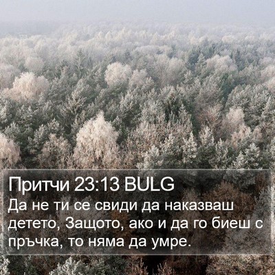 Притчи 23:13 BULG Bible Verse Image