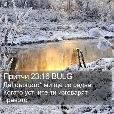 Притчи 23:16 BULG Bible Verse Image