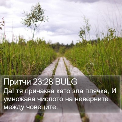 Притчи 23:28 BULG Bible Verse Image