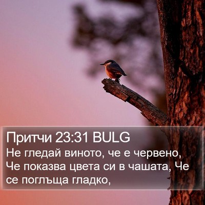 Притчи 23:31 BULG Bible Verse Image