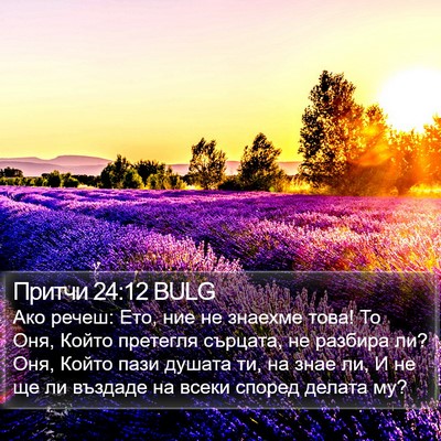 Притчи 24:12 BULG Bible Verse Image
