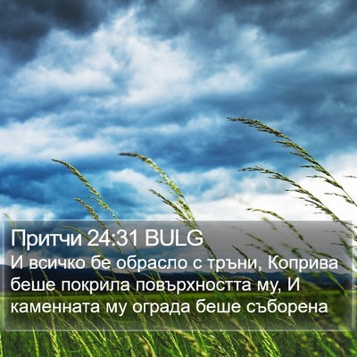 Притчи 24:31 BULG Bible Verse Image