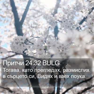Притчи 24:32 BULG Bible Verse Image