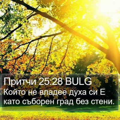 Притчи 25:28 BULG Bible Verse Image