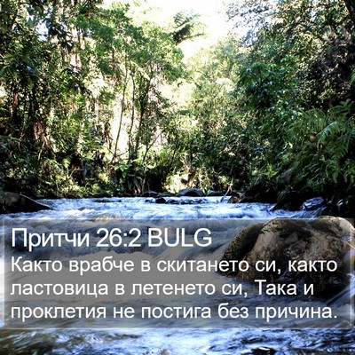 Притчи 26:2 BULG Bible Verse Image