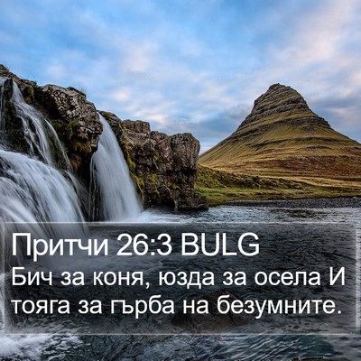 Притчи 26:3 BULG Bible Verse Image