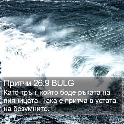 Притчи 26:9 BULG Bible Verse Image