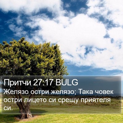 Притчи 27:17 BULG Bible Verse Image