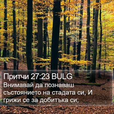 Притчи 27:23 BULG Bible Verse Image