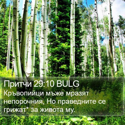 Притчи 29:10 BULG Bible Verse Image