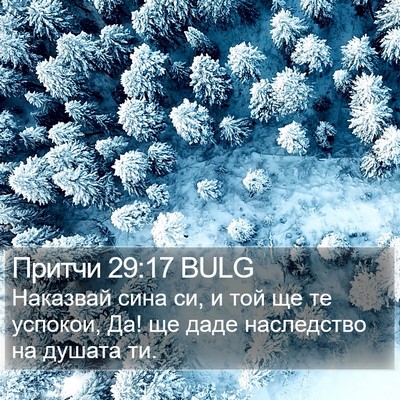 Притчи 29:17 BULG Bible Verse Image