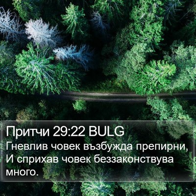 Притчи 29:22 BULG Bible Verse Image
