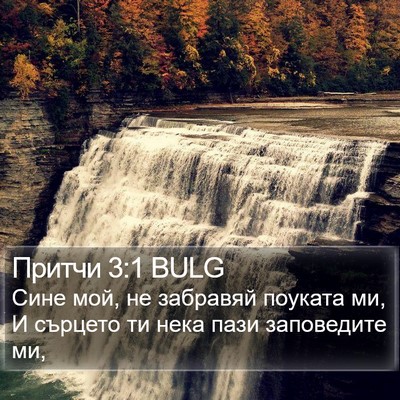Притчи 3:1 BULG Bible Verse Image
