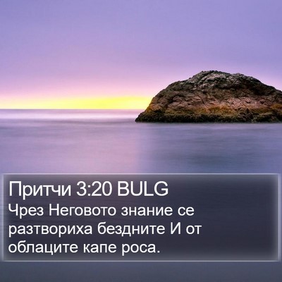 Притчи 3:20 BULG Bible Verse Image