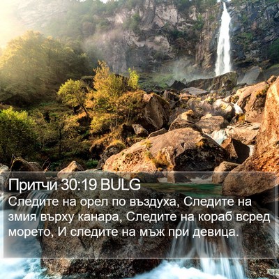 Притчи 30:19 BULG Bible Verse Image
