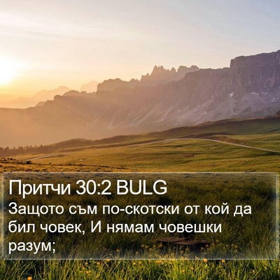 Притчи 30:2 BULG Bible Verse Image