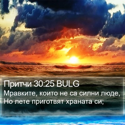Притчи 30:25 BULG Bible Verse Image