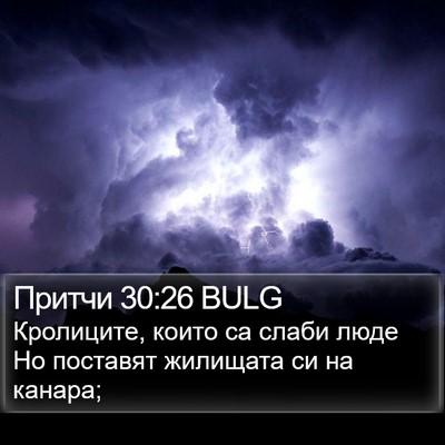 Притчи 30:26 BULG Bible Verse Image
