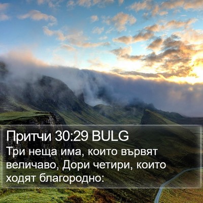 Притчи 30:29 BULG Bible Verse Image