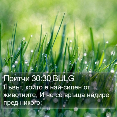 Притчи 30:30 BULG Bible Verse Image